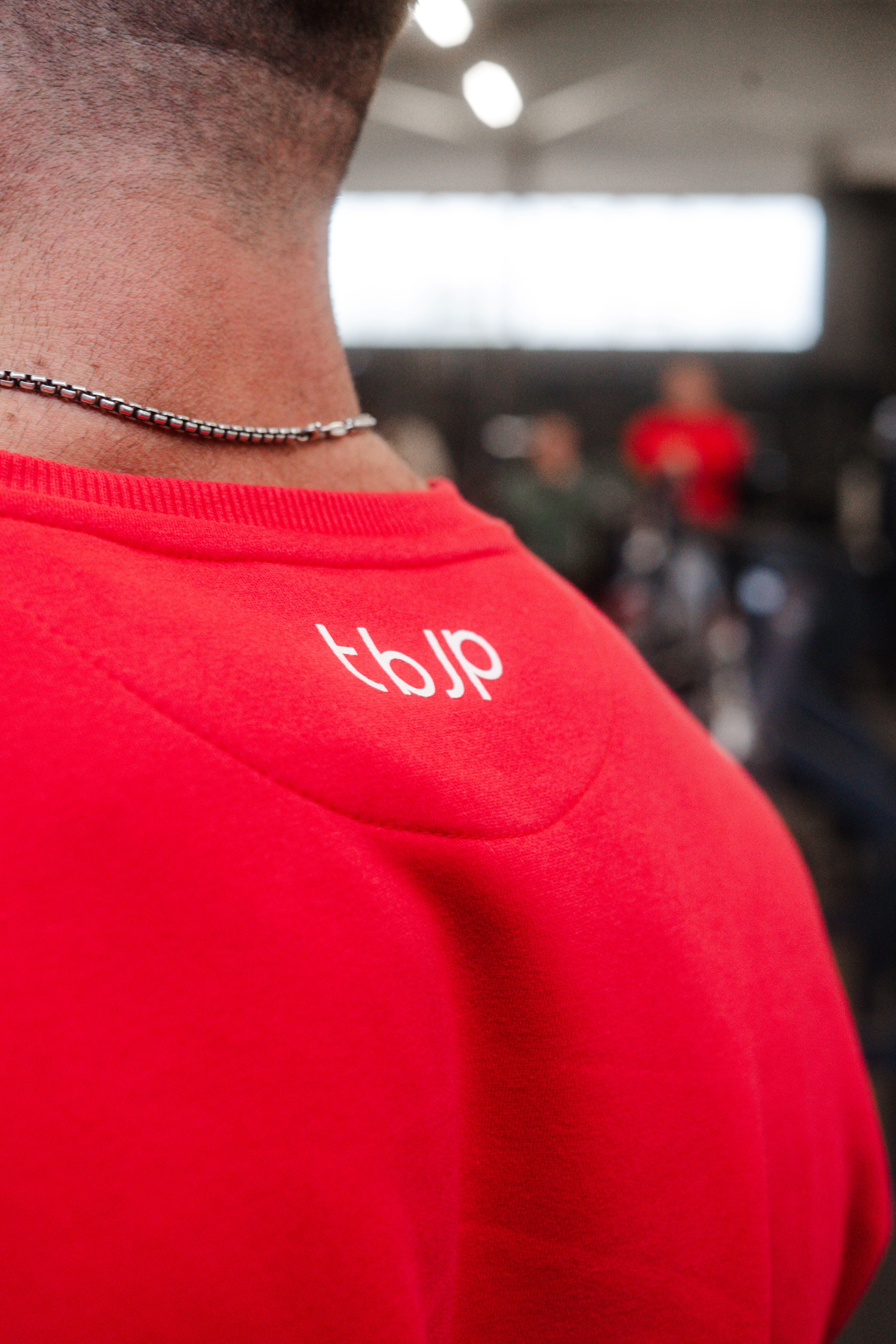 Mountain, Work Harder Sweater in Red