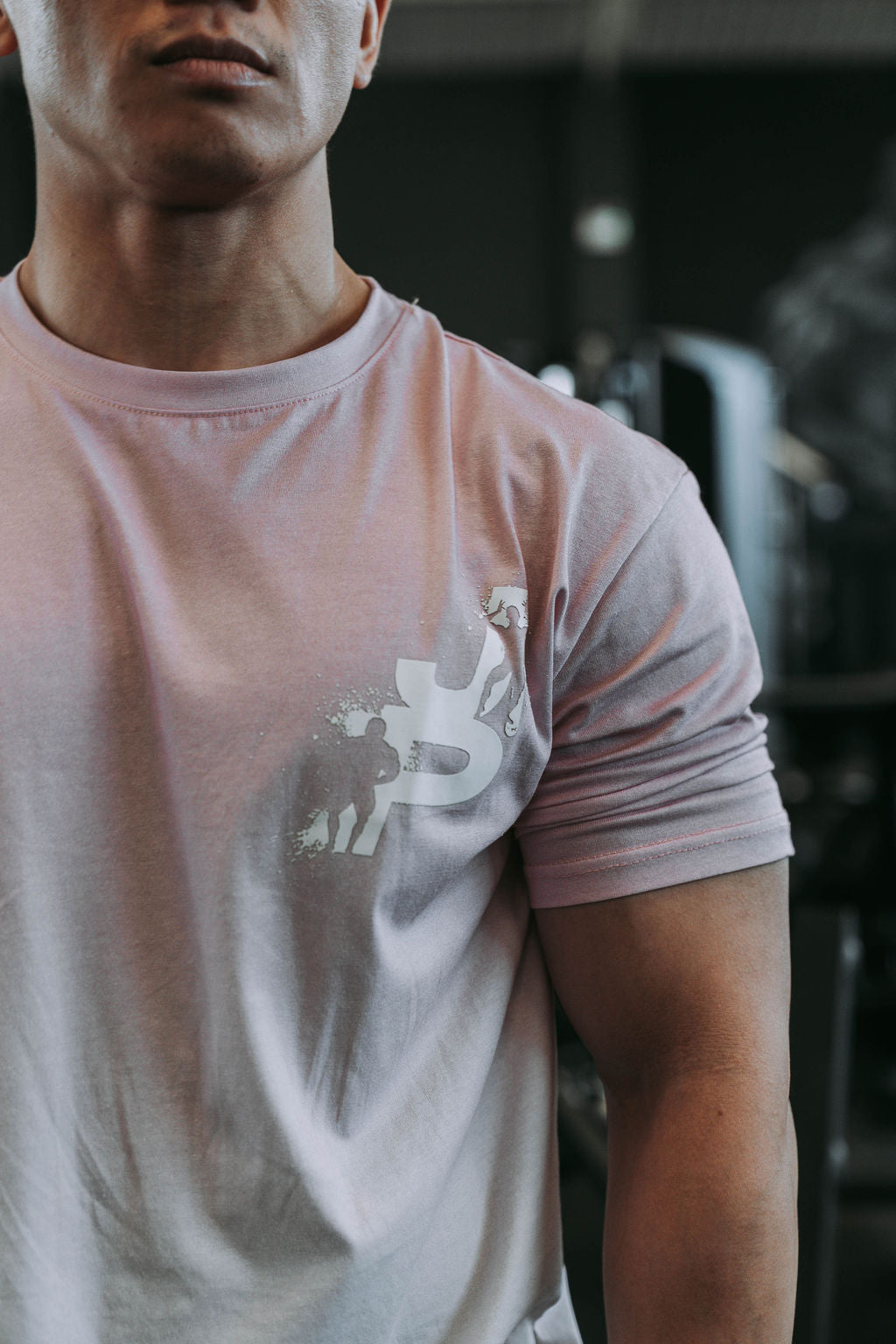 Ombre Tshirt in Pink