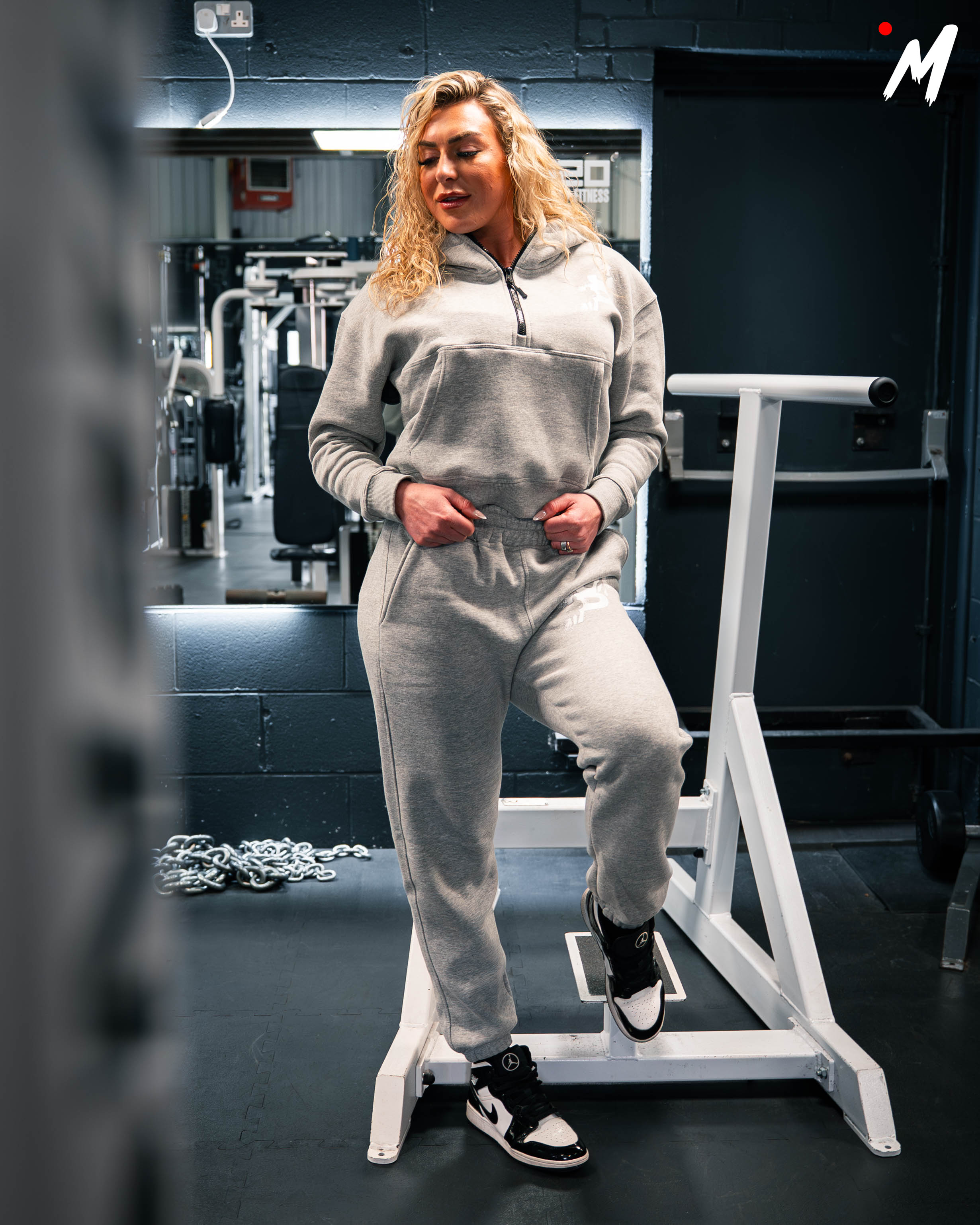 Ladies Cropped Hoodie in Grey